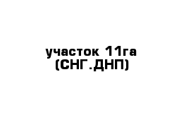 участок 11га (СНГ.ДНП)